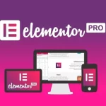 Elementor Pro V3.6.4 专业版已激活可在线更新 含577套模板